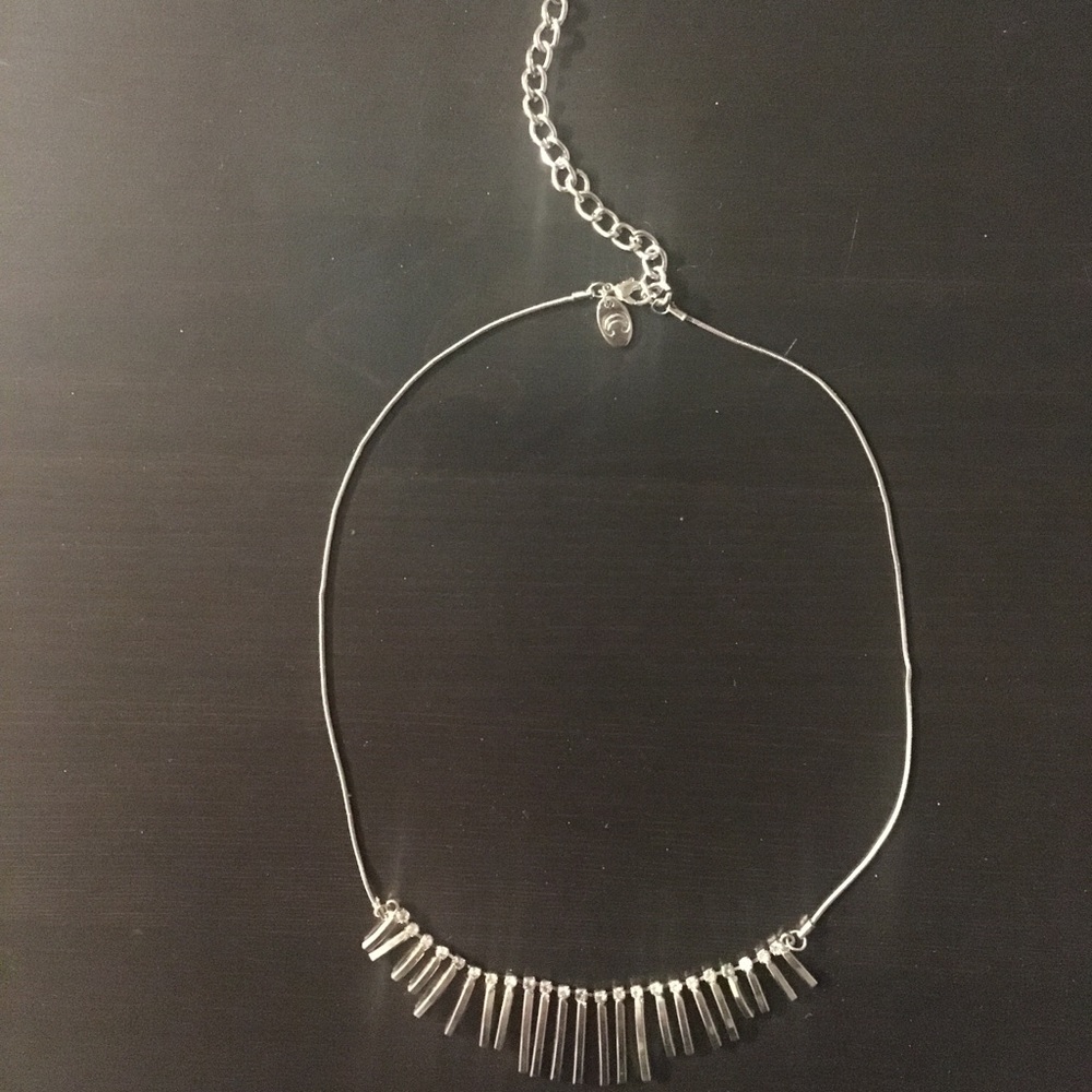 Charming Charlie Necklace